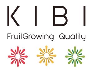 KIBI